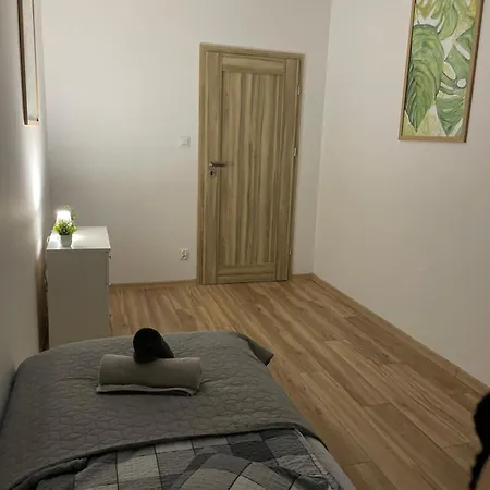 Kotlina Klodzka - Przestrzenny, Dla 6 Osob , 3 , 63 M , Balkon , Podziemny Garaz Free 公寓 克沃兹科