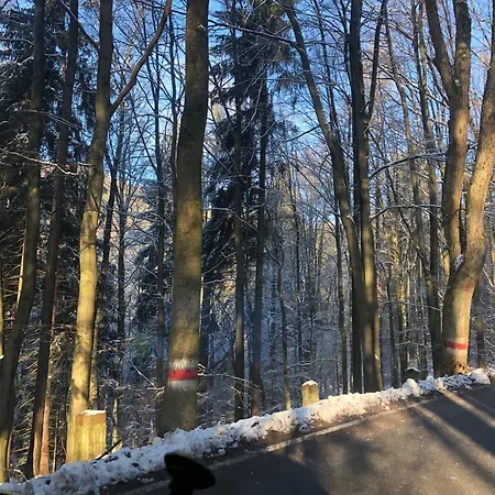 Kotlina Klodzka - Przestrzenny, Dla 6 Osob , 3 , 63 M , Balkon , Podziemny Garaz Free, Z Ladowarka Dla Elektrykow Kłodzko