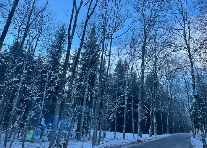 Kotlina Klodzka - Na Wylacznosc Na Letniej , 63 M , 2 Sypialnie , Salon Z Aneksem Kuchennym , Balkon , Podziemny Garaz Free דירה